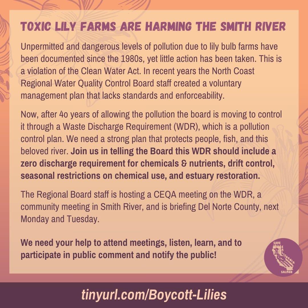 Save California Salmon tweet media