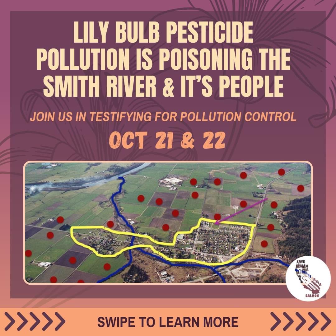 Save California Salmon tweet media