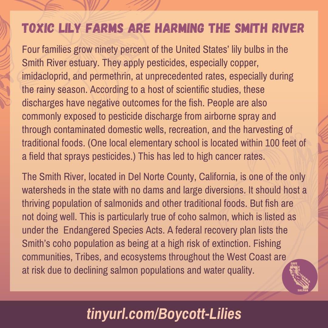 Save California Salmon tweet media