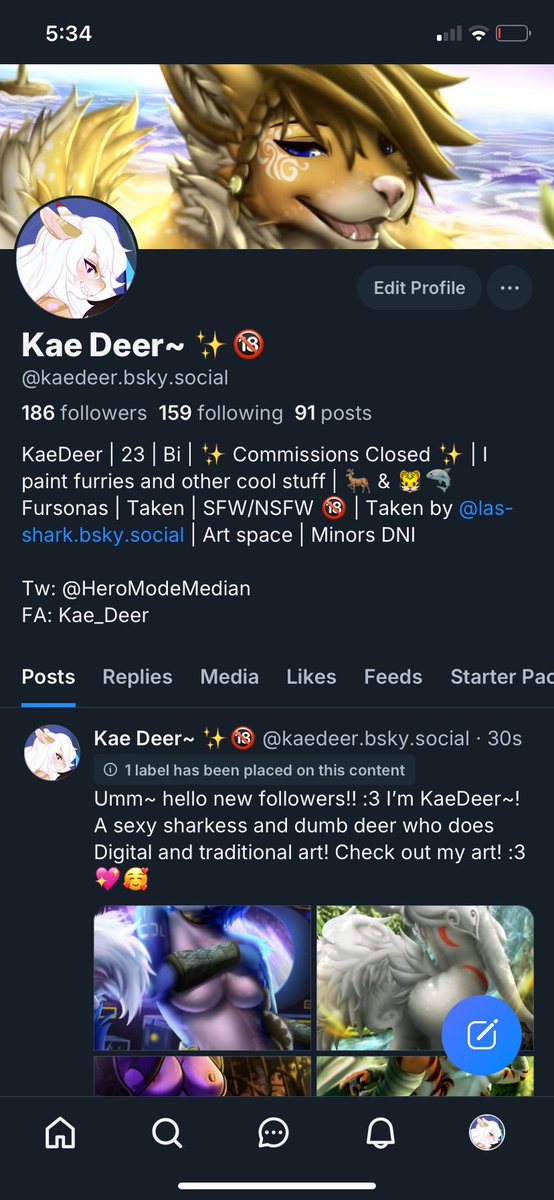 Just a reminder for everyone you can follow me on bluesky too~! 💖🥰