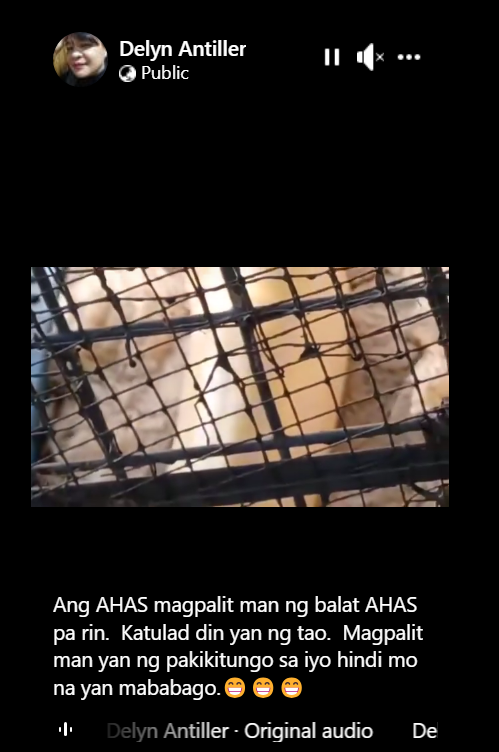 baeng_rom's tweet photo. Credit to the owner of the post fr FB. 
*ANG AHAS MAGPALIT MAN NG BALAT, AHAS PA RIN! https://t.co/1UwwTlDwCX