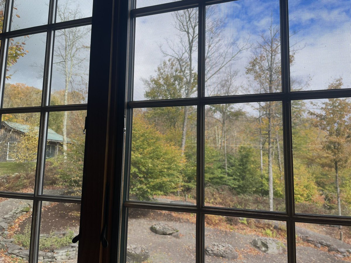 Arriel (UNDER THE NEON LIGHTS out now!) 🪩 tweet media