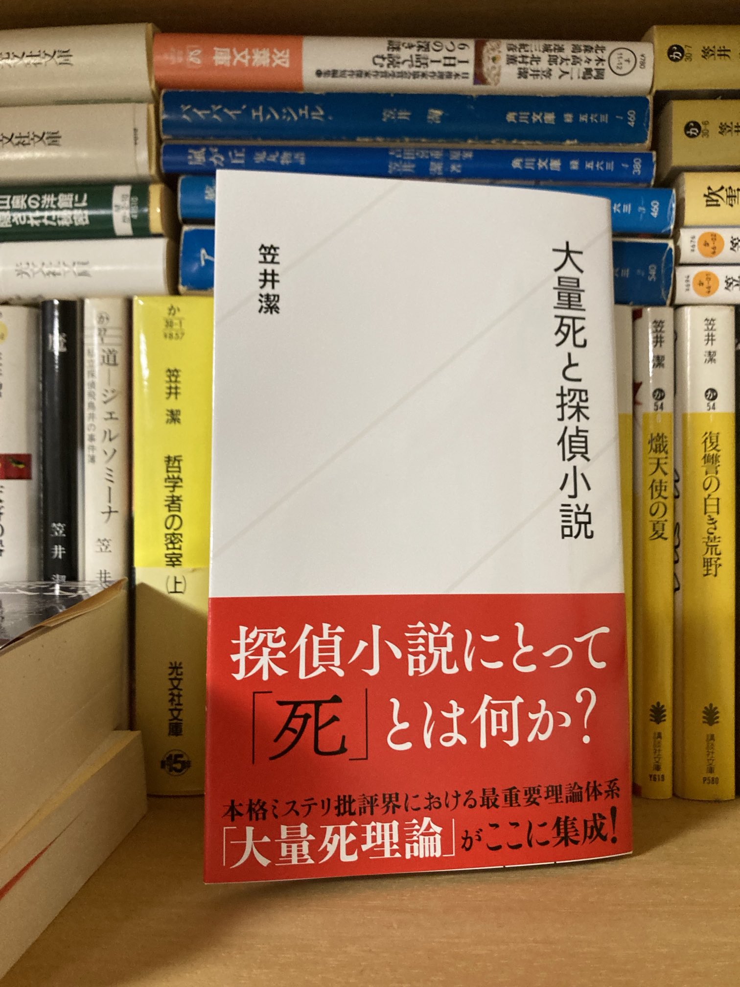 『探偵小説論』 2冊セット 笠井潔 東京創元社 Amazon.co.jp: 『探偵小説論』 2冊セット 笠井潔 東京創元社