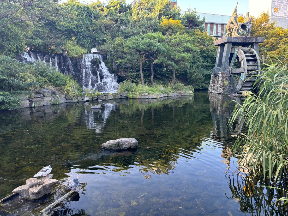 朝から散歩するには環境がとてもいいです