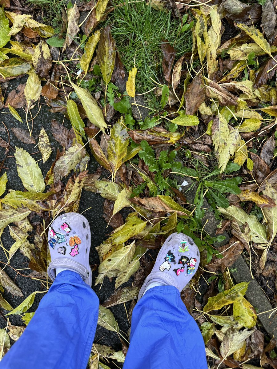 Ujala935523512's tweet image. I have started the field specific modules: integrated care for #children and young people has been nothing short of amazing! 🚀 So much to absorb, from the voice of the child to the intricacies of safeguarding. The lectures are intense but incredible 👌
@UoB_Nursing