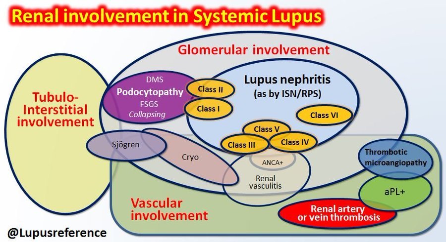 Laurent ARNAUD tweet media