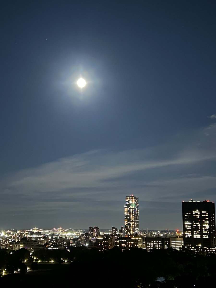 Jil Rafman tweet media