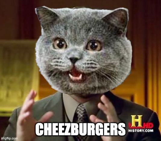 <a href="/SharksCoins/">SharksCoins 🦈 Gem Hunter</a> Loading up with some kitty with cheese, $CHEEZ.
<a href="/cheezcatsol/">CHEEZBURGER CAT</a>