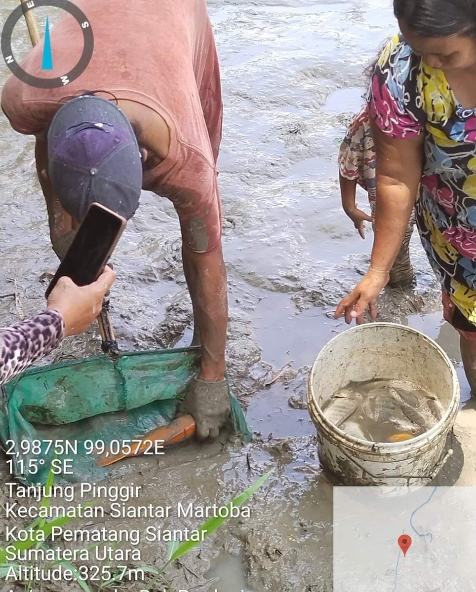 meinitadmk79's tweet photo. Panen ikan Nila di Pokdakan Amora Fish kelurahan Tanjung Pinggir kec. Siantar Martoba
Panen di 120 kg, size 4-5 ekor/kg, harga Rp. 30.000/kg.padat tebar 1000 ekor
#LuhkanKotaPematangsiantar
#GiatLuhkanSatminkalMedan
#BPPPSDM https://t.co/49y4emERXe