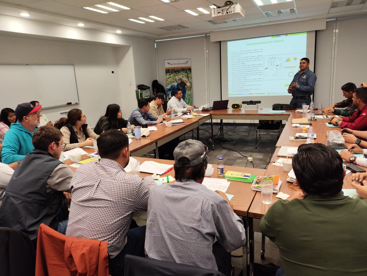 Capacitación sobre fertilidad de suelos y uso de sensores ópticos como herramientas de diagnóstico en las instalaciones de CIMMYT, muchas gracias por la invitación Hub Pacífico Norte 🤠💪#CIMMYT #Agriculturaregenerativa1
