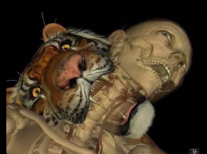 Dr. Longissimus tweet media