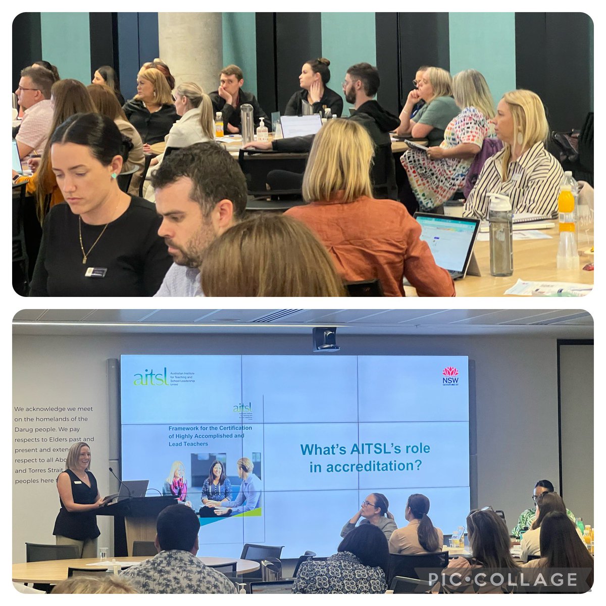 💧Lila Mularczyk OAM JP FACE FACEL💗🌈 tweet media