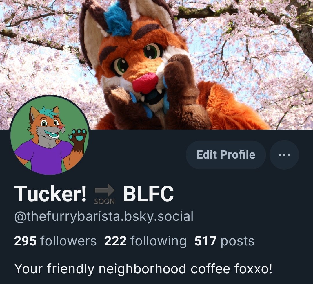 Oh hey! I post on this site, too! Feel free to follow me there! 🧡