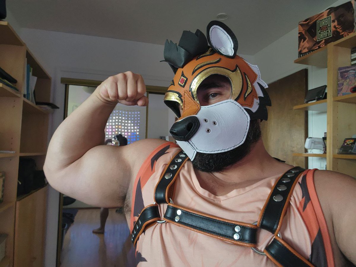 ScrapYardLthr's tweet photo. A eye-catching custom tiger hood inspired by wrestling and luchador masks! 😎🔥🐯

For @mindfoxxx aka Siege

https://t.co/MO6XkbLWa7

#scrapyardleather #scrapyardlthr #puppyplay #petplay #pupgear #LGBTQ #furries #furryfandom #tiger https://t.co/Fl5aS34BOq