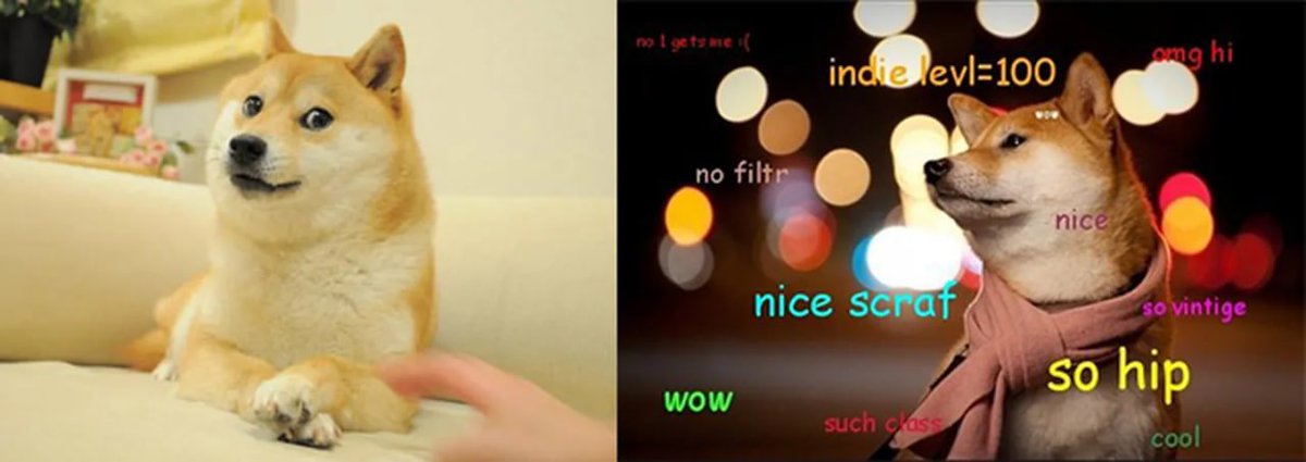 Suki | Iconic $DOGE Meme | Such Class, So Hip tweet media