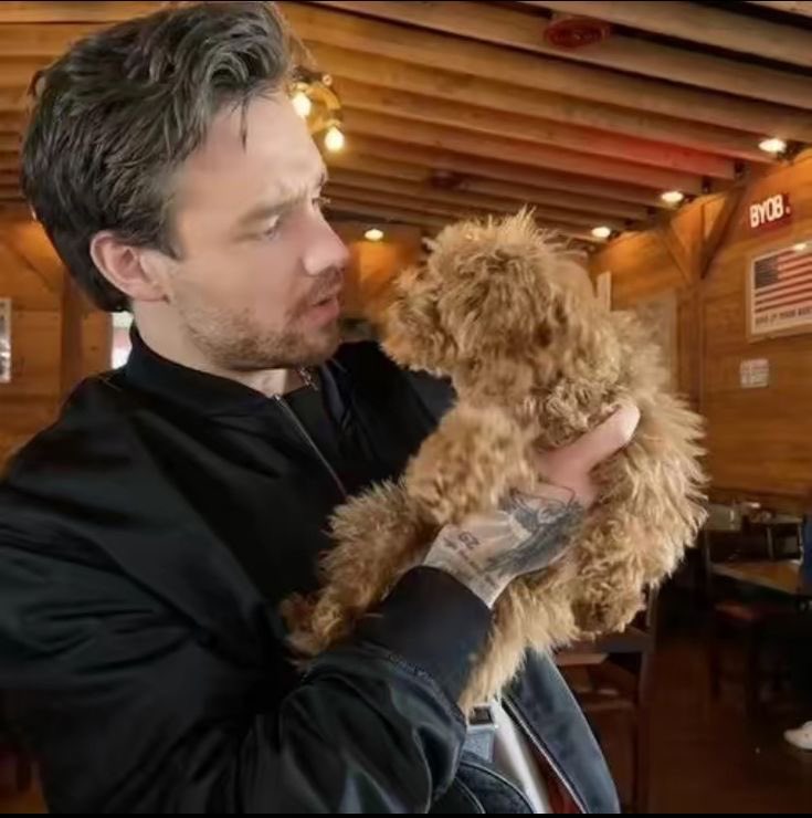 ltwtstyles's tweet image. always in my heart liam payne, see you in another life ❤️‍🩹🤍