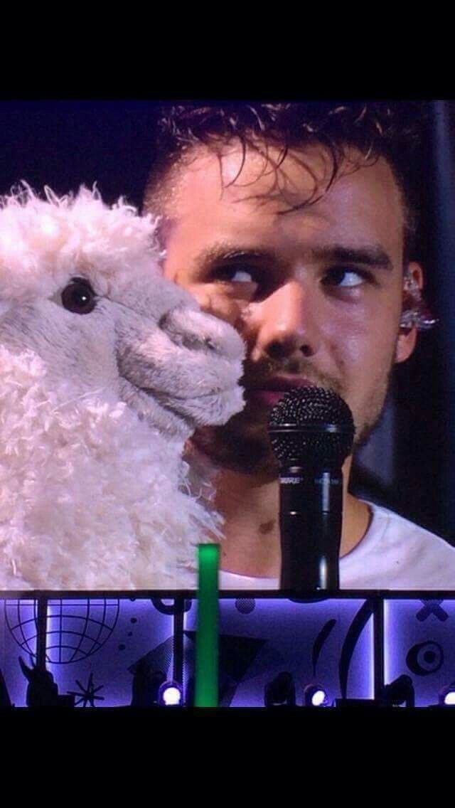 ltwtstyles's tweet image. always in my heart liam payne, see you in another life ❤️‍🩹🤍