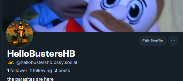 HelloBustersHB tweet media