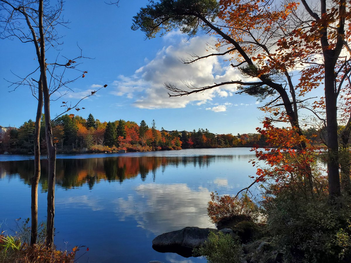 Micah Blake McCurdy tweet media