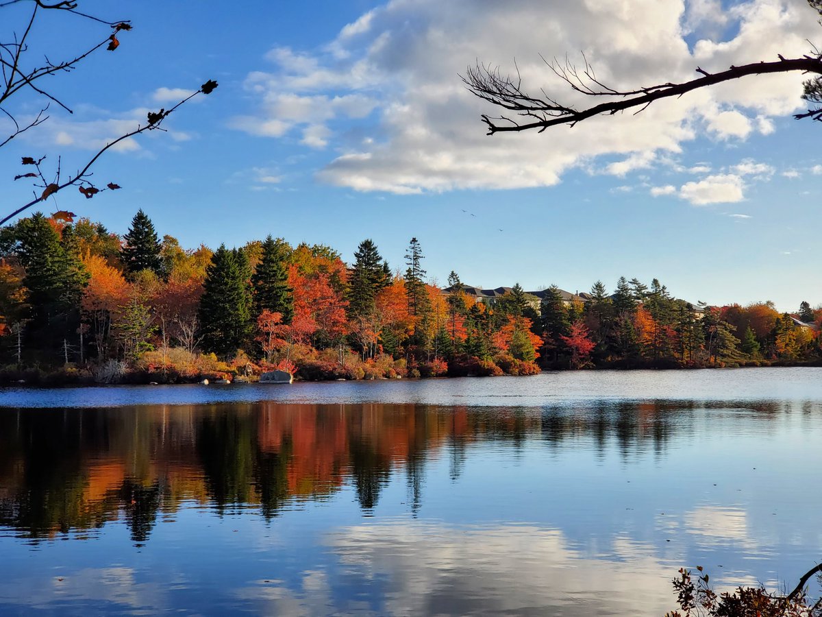 Micah Blake McCurdy tweet media