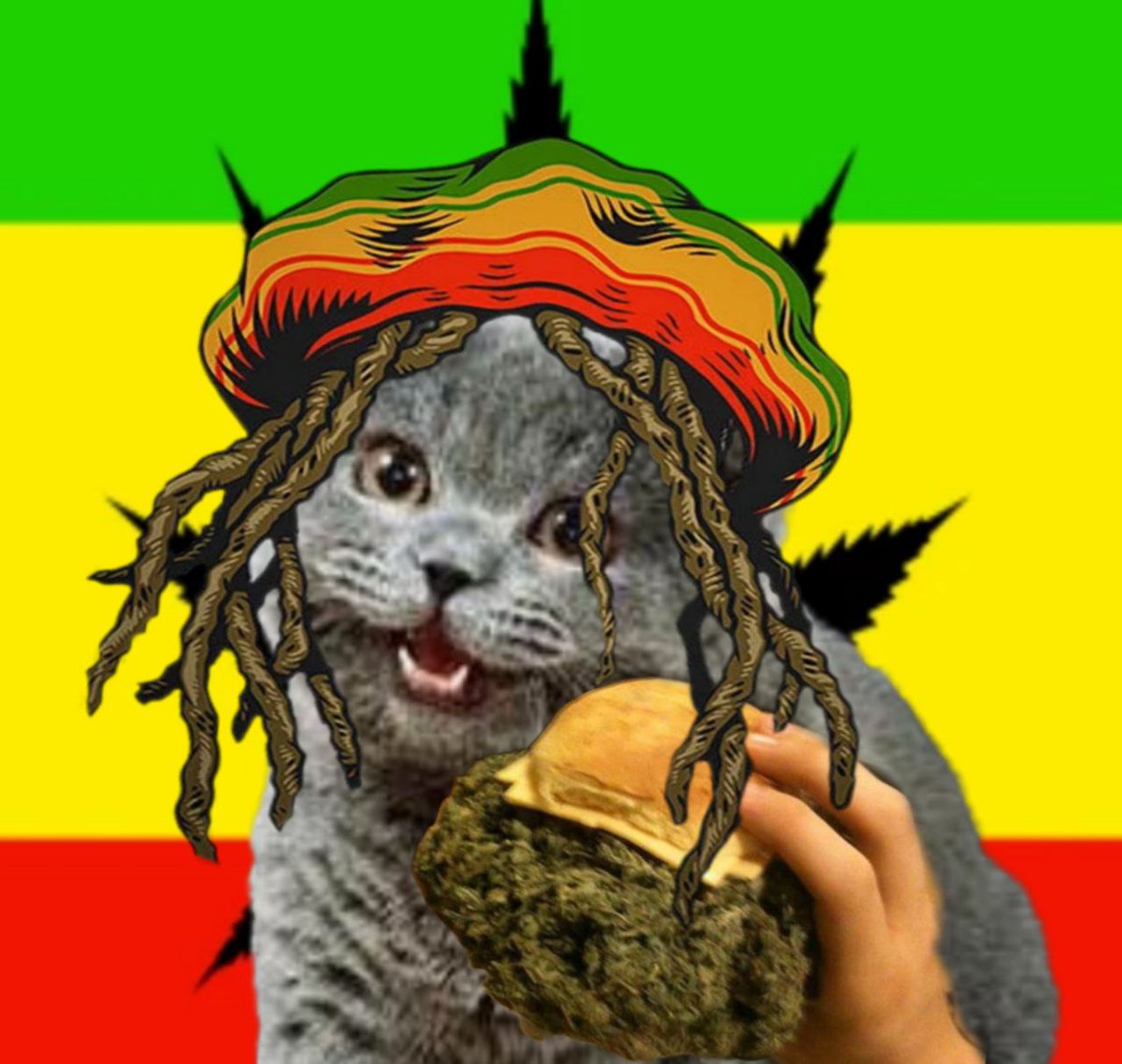 Hehe, are you cheezin' bcuz of me, or did you just take a little puff-puff break? Either way $CHEEZ on😘