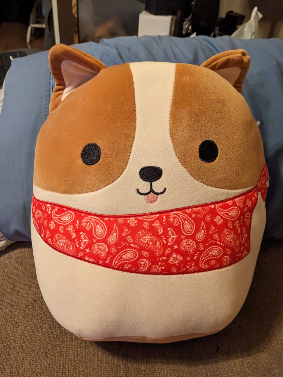 New corg day!