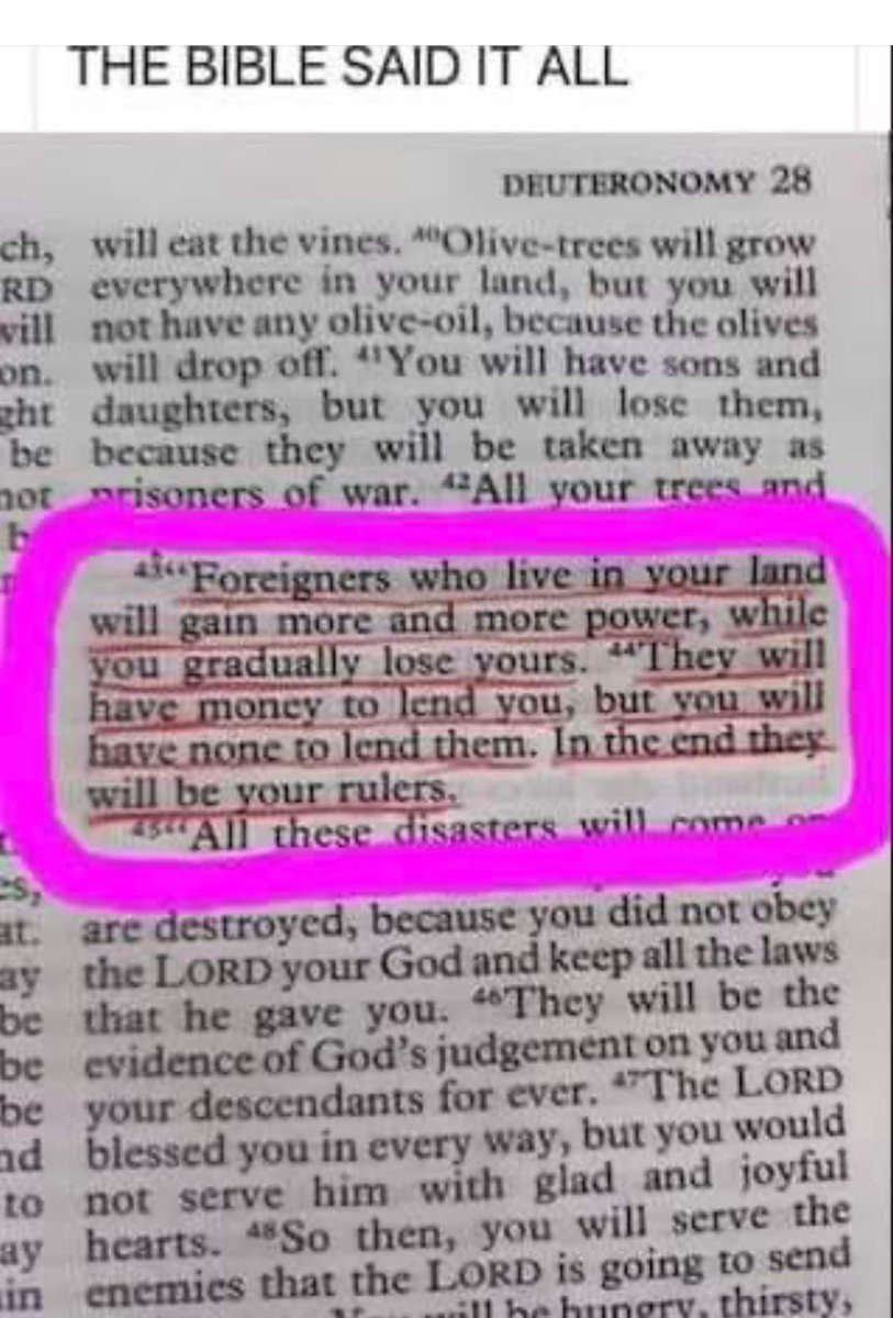 Christian Guy™ tweet media