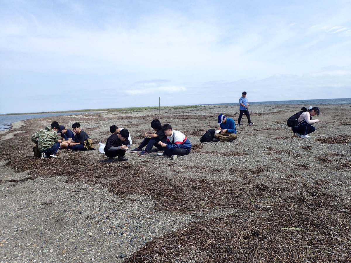 BgcEes's tweet photo. ７月１７日から２１日の５日間，道東の根室半島および野付半島において地球圏科学実習を実施しました．根室半島では泥炭を採取し，記載を行いました．野付半島では地形と浜辺の礫の観察・計測を行い，砂嘴の形成を考察しました．北海道新聞さんの取材を受けました． https://t.co/mzYdZV3MTl
