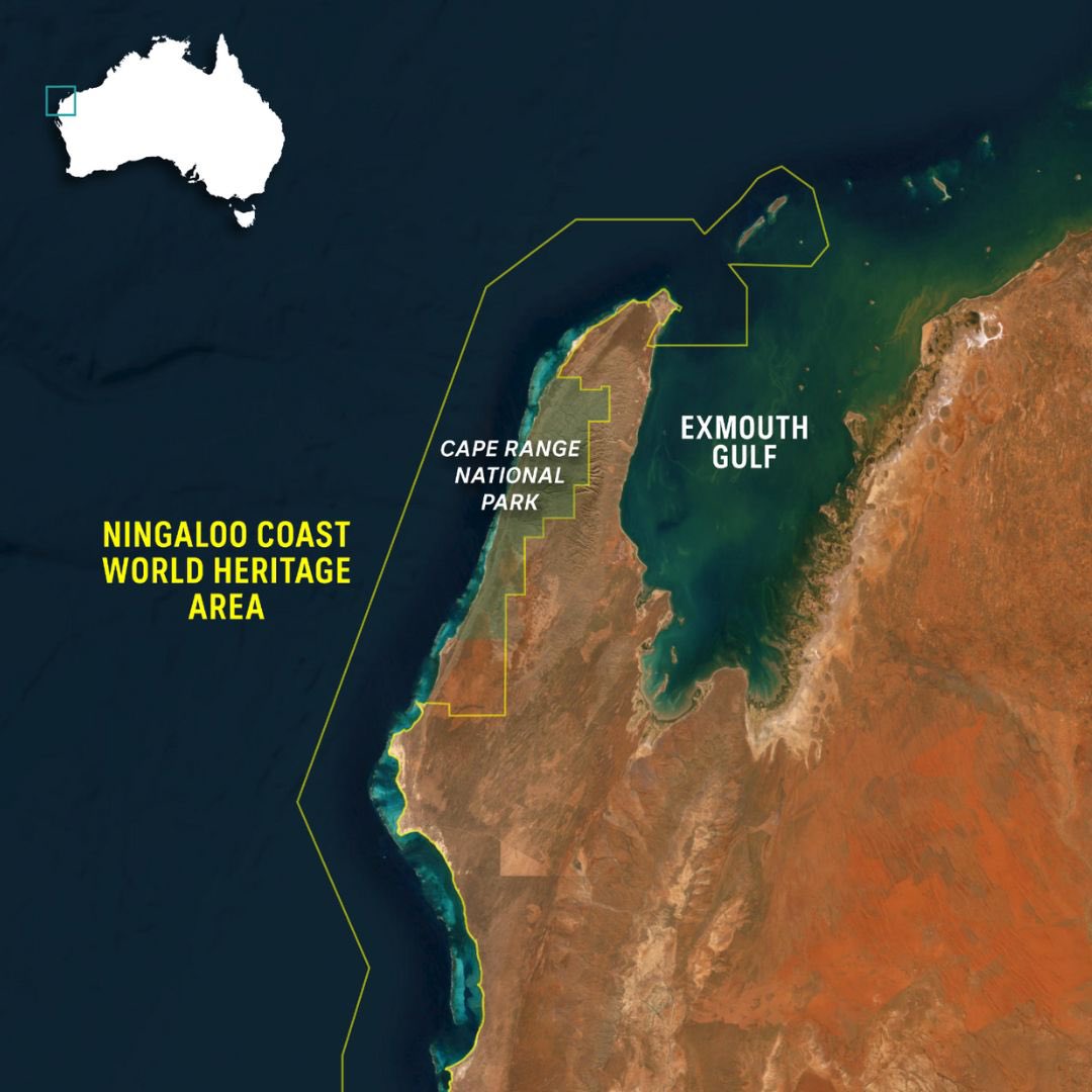 Aqualink tweet media