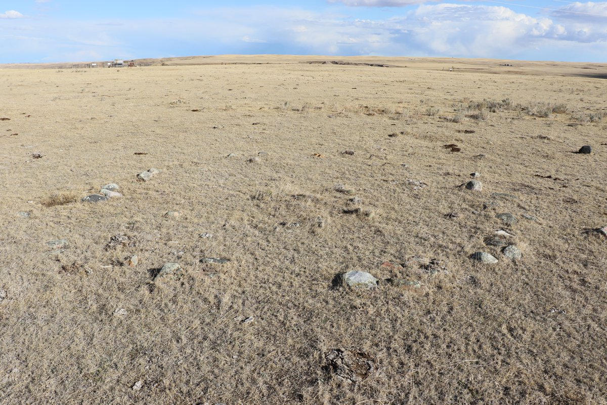 VincentM_Manus's tweet photo. Tipi Ring. Undated. Southern Alberta. Pictures taken 7 Oct 2017. @the_stone_club https://t.co/rfaQx9WN4g