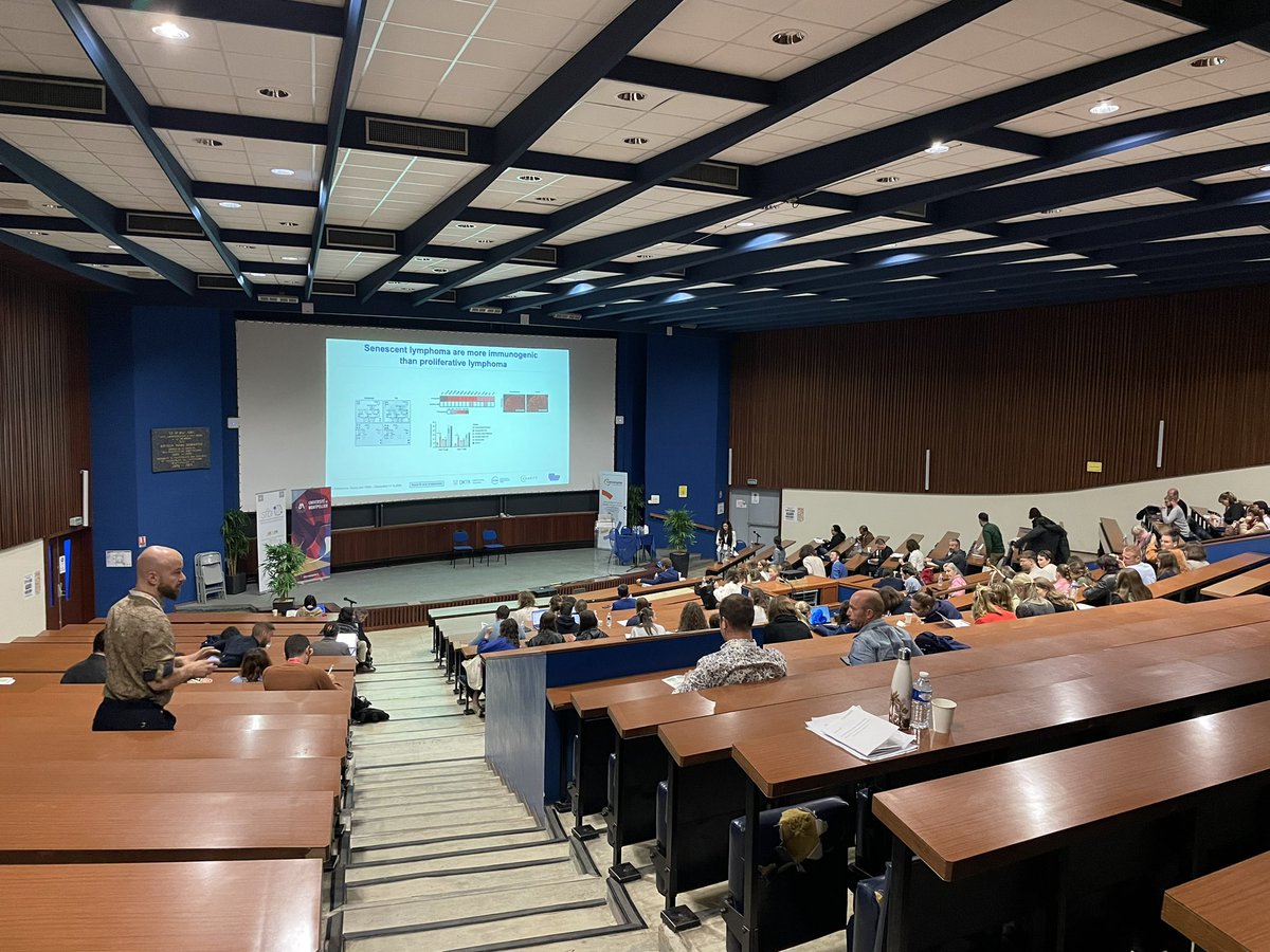 anna-sophie fiston-lavier tweet media