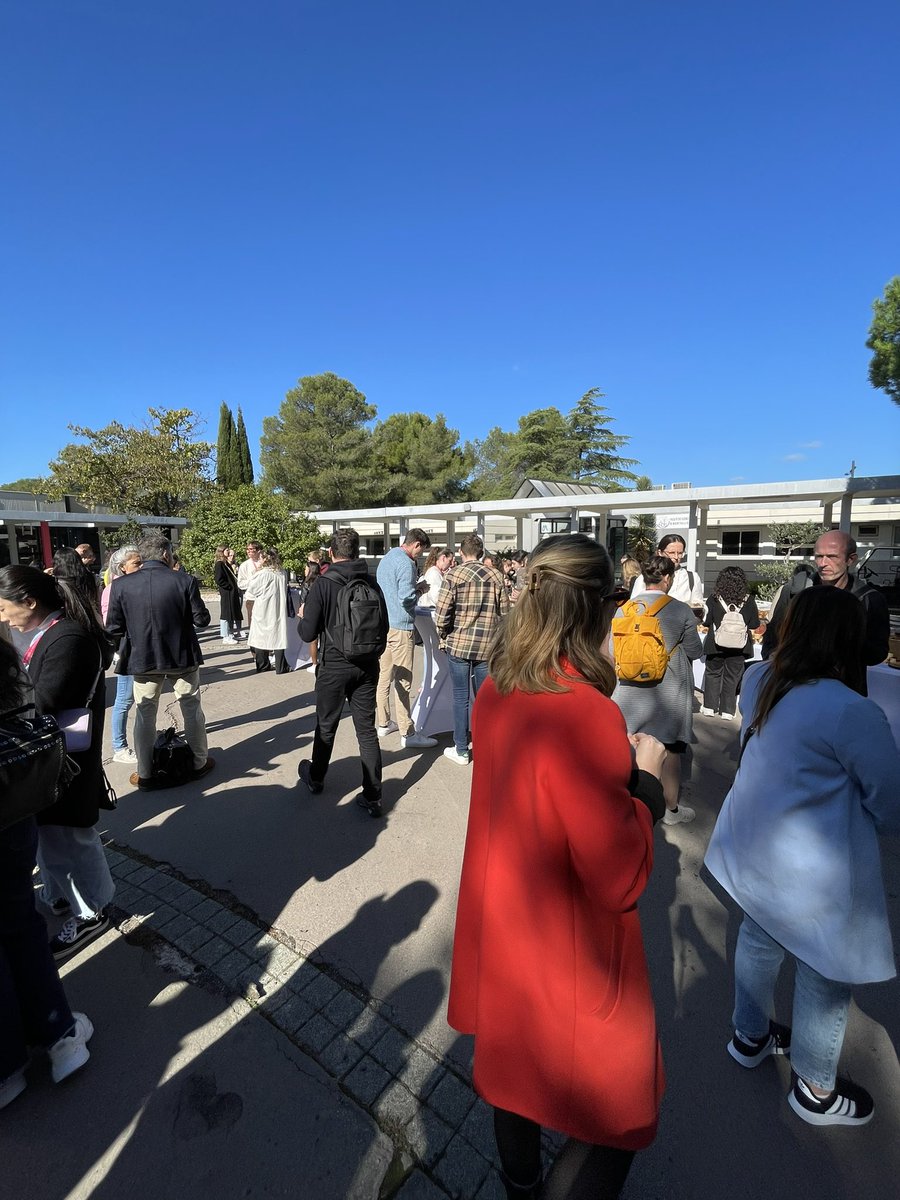 anna-sophie fiston-lavier tweet media