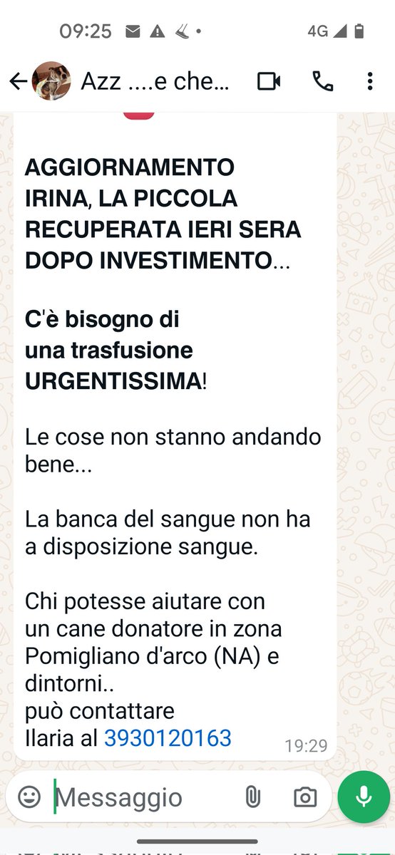 Emilystellaemi2 tweet media