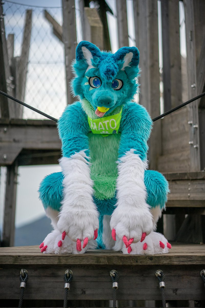 mato_husky (@mato_husky) on Twitter photo ๐๐ Beautiful day for hanging husky ๐ ๐๐
Wish you all happy fursuitfriday ๐๐๐ฅฐ
๐ท <a href="/AtroxTheFox/">AtroxTheFox</a> ๐ฅฐ
๐งต <a href="/Bambilijas/">Bambilijas</a> + <a href="/RokajTheHusky/">Rokaj ๐EF29,NFC</a> ๐ฅฐ
#happyfursuitfriday
#fursuitfriday
#furry #furrsuit #fursuiter #furryfandom #furries #furbaby #furrys #furry2024 #furbabies #furryhusky ๐๐ Beautiful day for hanging husky ๐ ๐๐
Wish you all happy fursuitfriday ๐๐๐ฅฐ
๐ท <a href="/AtroxTheFox/">AtroxTheFox</a> ๐ฅฐ
๐งต <a href="/Bambilijas/">Bambilijas</a> + <a href="/RokajTheHusky/">Rokaj ๐EF29,NFC</a> ๐ฅฐ
#happyfursuitfriday
#fursuitfriday
#furry #furrsuit #fursuiter #furryfandom #furries #furbaby #furrys #furry2024 #furbabies #furryhusky