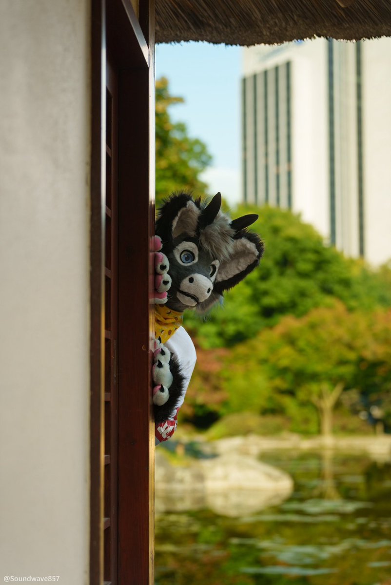 Hey there, did someone say jelly snakes?

#FursuitFriday - also I’m in Europe next week (apparently they have snakes) so maybe a bit slow on socials / messaging

📷 <a href="/Soundwave857/">Soundwave 📸</a>
