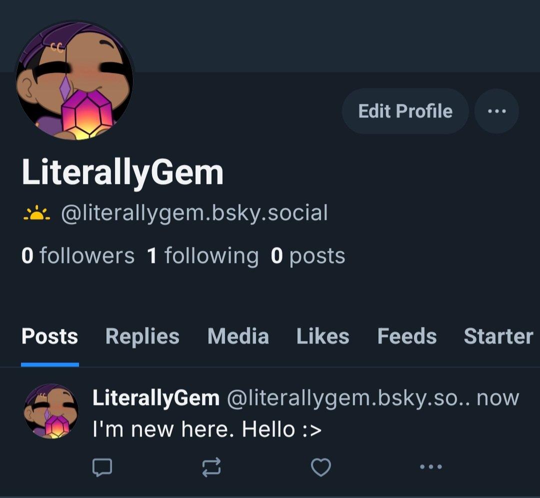 LiterallyGem's tweet image. If ya&apos;ll wanna follow me on bluesky