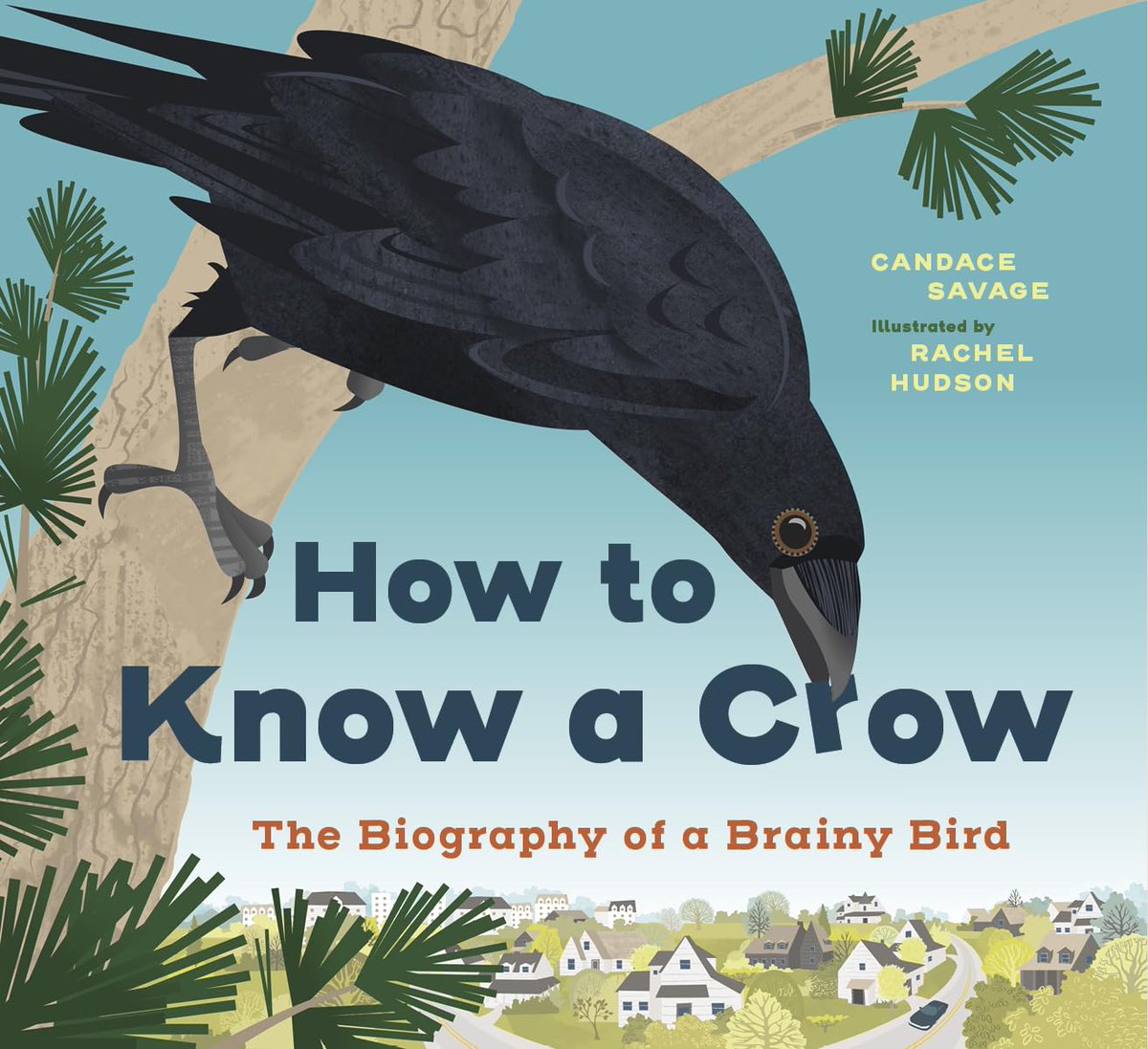 MariaMarshall_'s tweet photo. A great MG book for those who love nonfiction, amateur & seasoned birders, and anyone curious about the truly amazing crow. https://t.co/2V1pLEjQYE Candace Savage & Rachel Hudson @GreystoneKids #nonfiction #kidllit https://t.co/Lqvpq4dvv3
