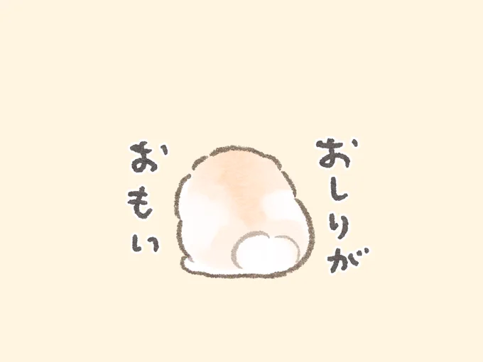 わかる 