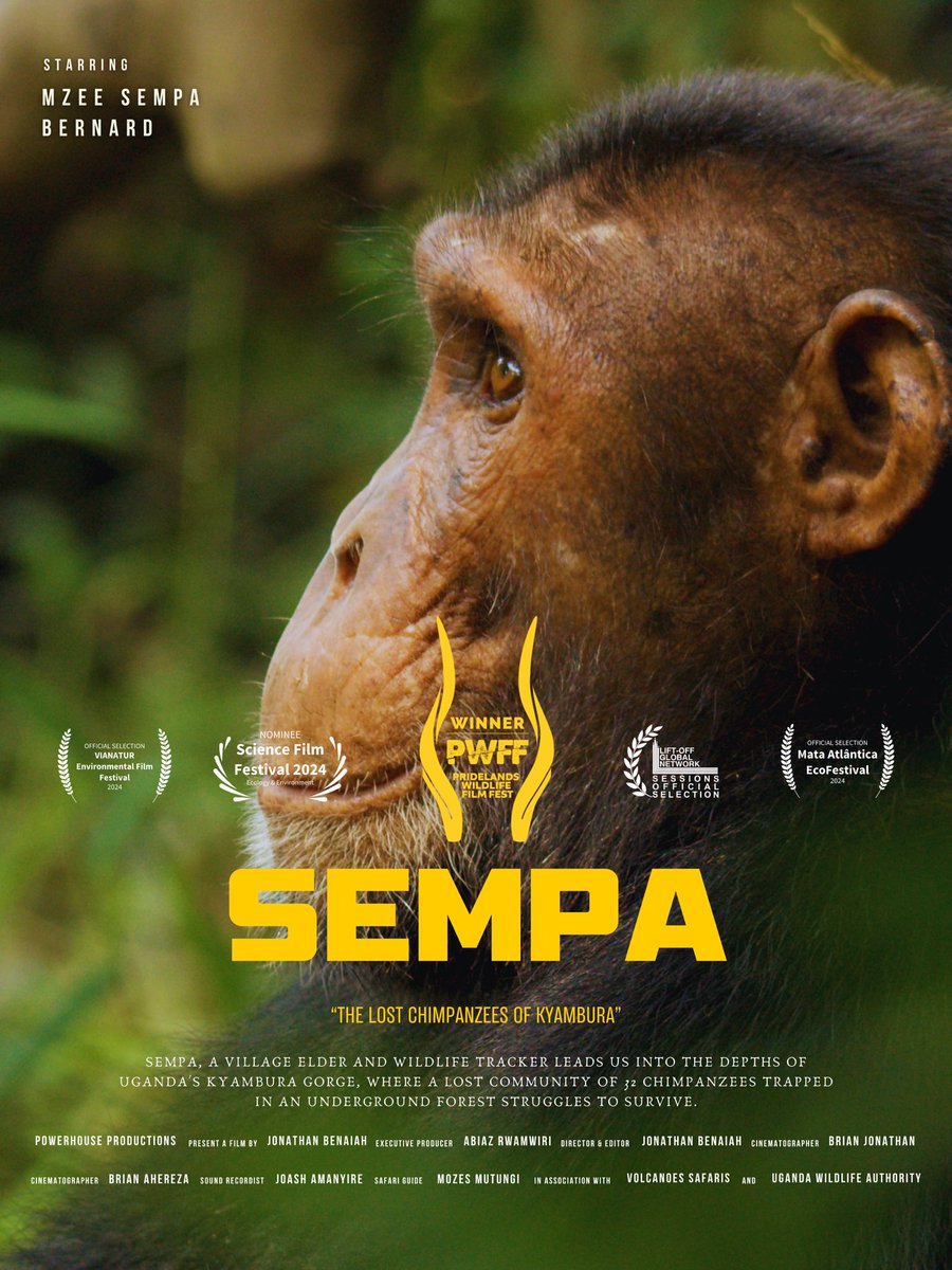 The one that keeps giving

Our film ‘SEMPA - The Lost Chimpanzees Of Kyambura’ received another notable selection - Screened at the Environmental Film Festival 2024 in the Best Documentary Short Film category. 

Honored to share this story with a panel of environmental experts.
