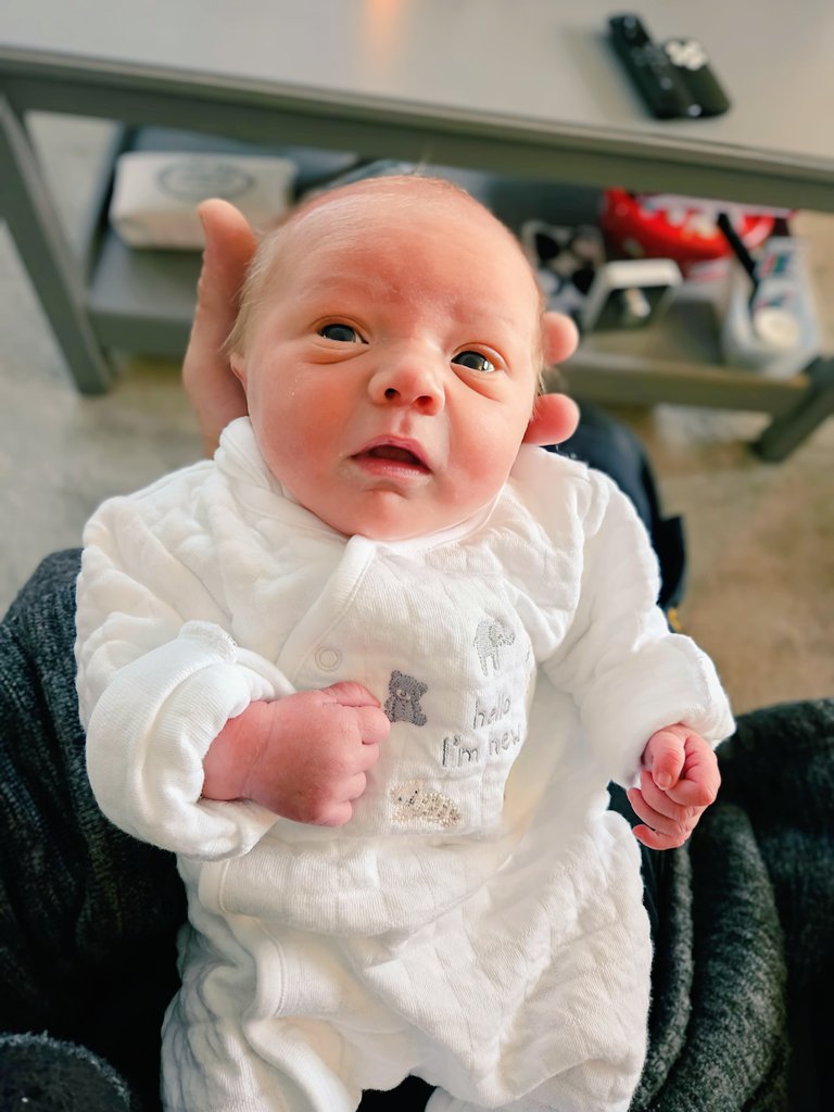 💛🎗🌟
Archie The Angel 👼
On Mabel Rey's Shoulder
We Miss You Archie
💙🩷
#AngelArchie 
#ArchiesDailyHeavenlyBlessing