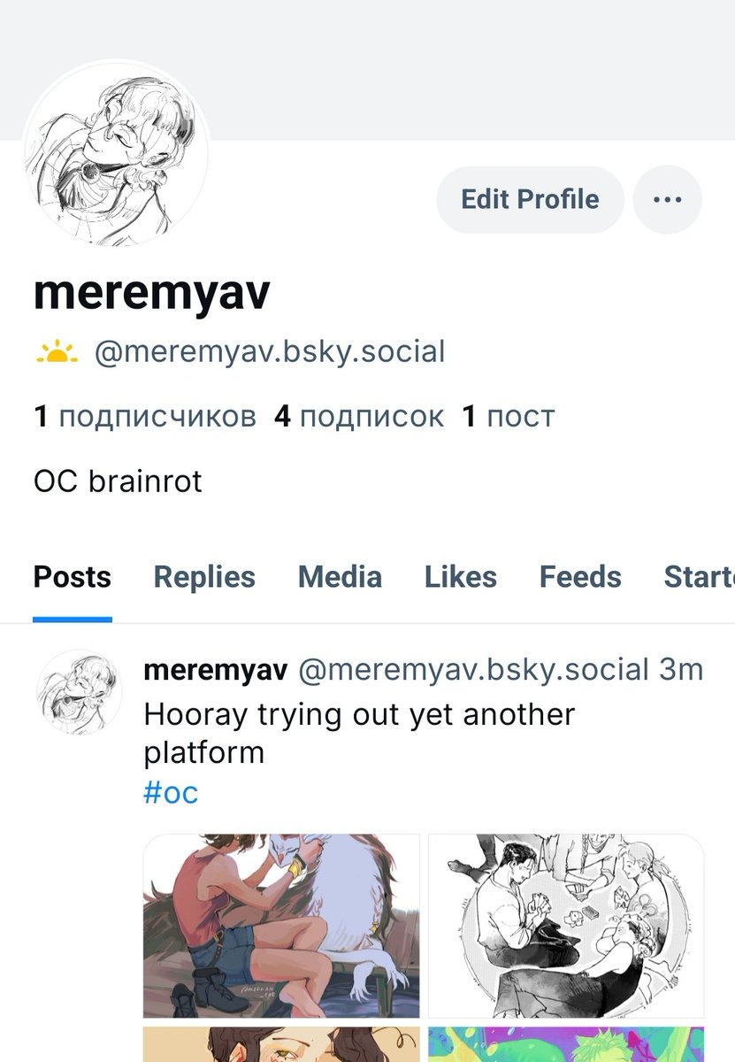 Made a bluesky too!!