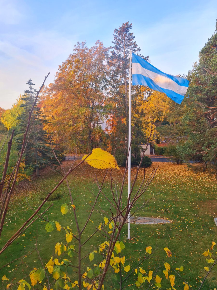 Oficialmente otoño. 
Amanecer soleado, por un rato.
#Argentina #ArgentinaFlag #autumn2024 #autumncolours #Sweden #höst #Sverige