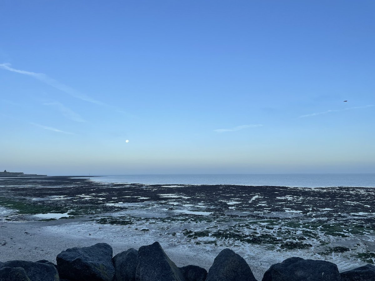 rosiewilby's tweet image. Morning! 👋 
#margate