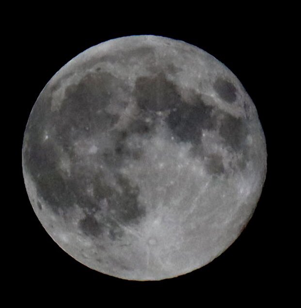 Dylan Williams tweet media