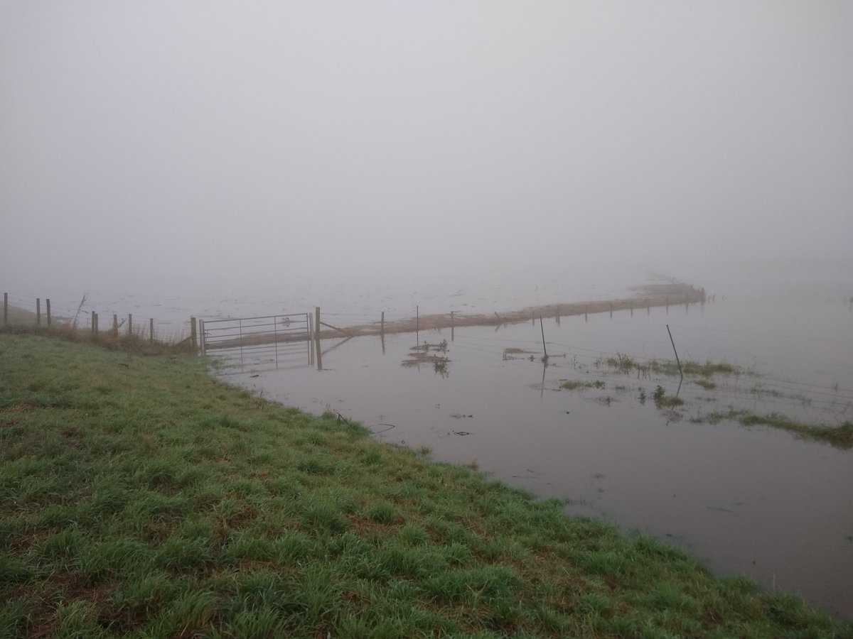 A huge tide in the thick fog this morning across the reserve. This will mean we will be closed as from today for several days. Please do not visit until we say it is safe to do so. <a href="/hu/">ひゅ〜</a>