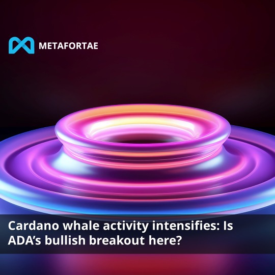Metafortae_io's tweet photo. Is ADA finally ready for its highly anticipated bullish recovery? These signs indicate that the bulls might be getting ready to take over. ADA large holder activity bounced back this week, suggesting that whales are once again showing interest in the cryptocurrency. https://t.co/L9j5Pjhjjr