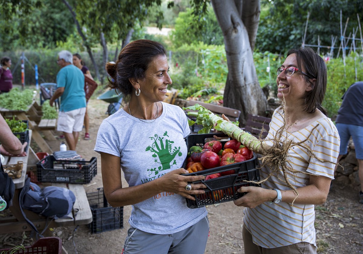 👩‍🌾👨‍🌾Sabies que, aquest dissabte, la pagesia pren protagonisme a #Collserola?🍅🍯🍇No et perdis la #FestaPagesa amb productes locals, activitats i una exposició que et connecta amb la terra!🌱

👉parcnaturalcollserola.cat/agenda/festa-c…

#BarcelonaPagesa #BCNAgrària #AlimentemBCN