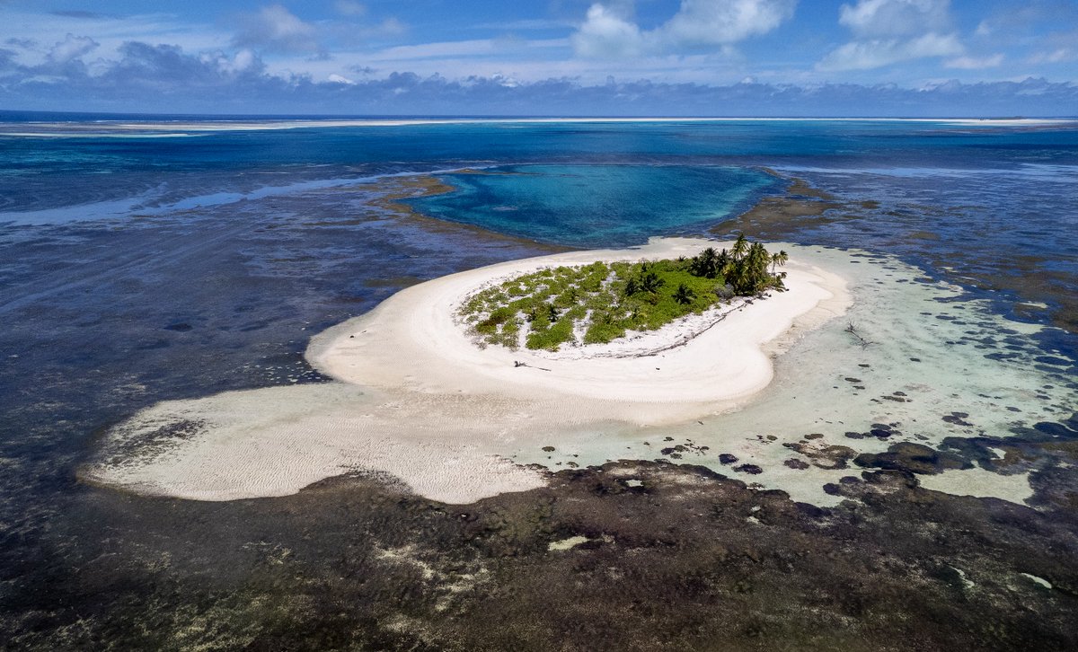 ne_ochen_bp's tweet image. Хола, амигосы и амигессы. Мы вчера посетили маленький и уютный островок, с пауками, кокосами, крабами. 
Я снорклил и видал многово рыбов, морских черепах (бисса и зеленая морская), и невьебенно огромного ската с жалом на хвосте (rounded gray stingray)!
Сегодня солью видео с GoPro