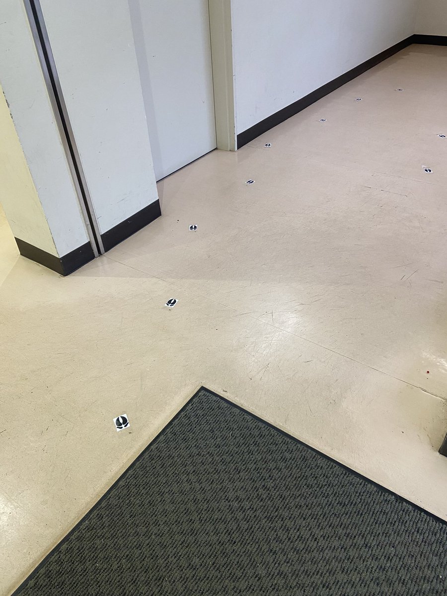sizensi's tweet photo. ちゃお〜
自然史探偵団です！🐸🦴

むむむむぅ?
この足跡は………何者だ？
どこに続いているんだぁ？？

　　ー探検家Aの冒険は続くー

#岩手大学 
#不来方祭 https://t.co/J7DEJ8UKzl