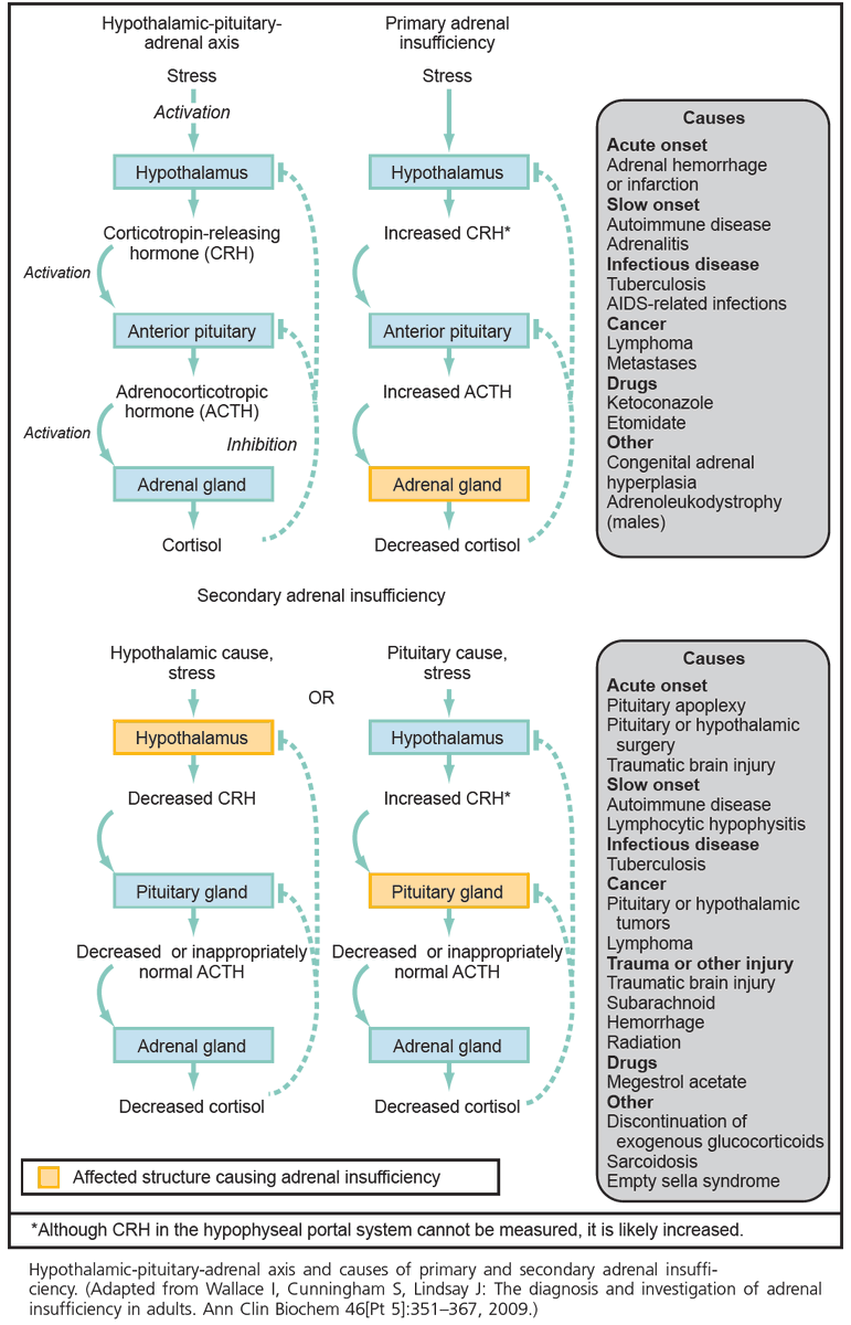 ManualOMedicine's tweet photo. Causes of Primary and Secondary Adrenal Insufficiency

#medtwitter #foamed #usmle https://t.co/J3va9FS5T8